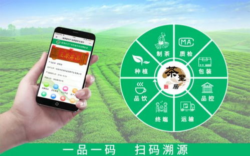 科技創(chuàng)新保障食品安全 茶圣居開創(chuàng)中國(guó)茶葉掃碼溯源新起點(diǎn)